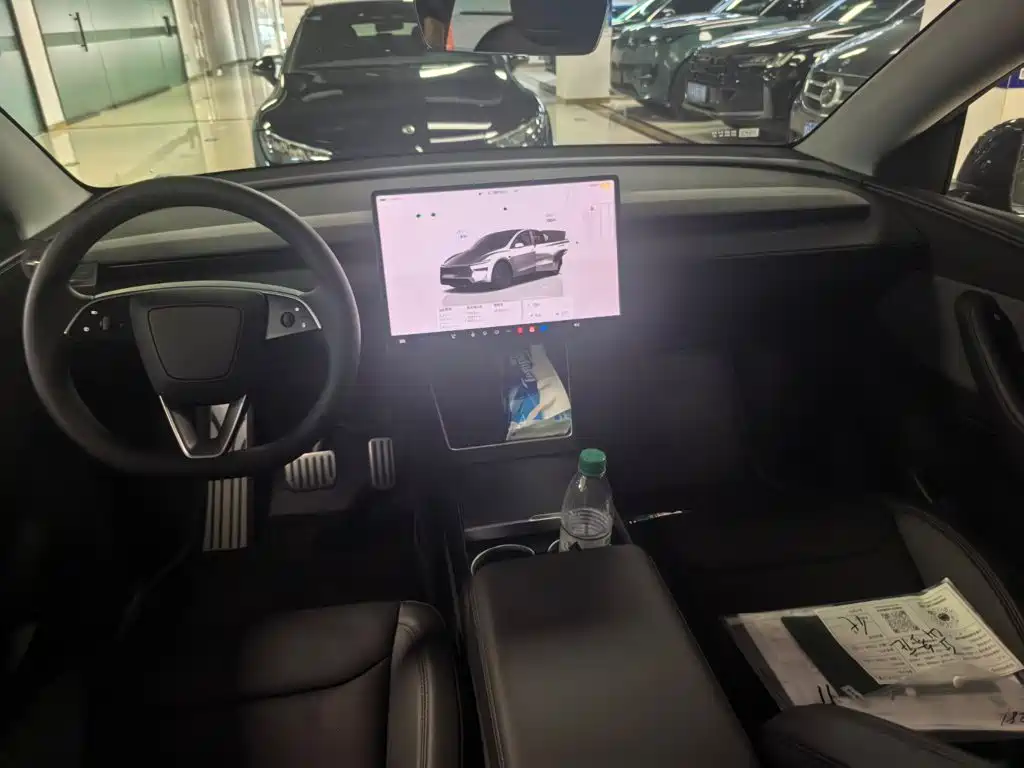 Tesla Model Y — миниатюра 10