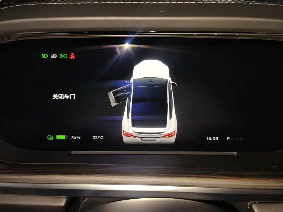 Tesla Model X — миниатюра 14