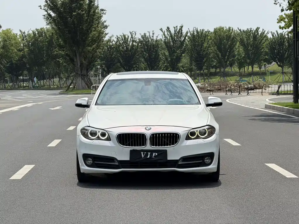 BMW 5 Series — миниатюра 2