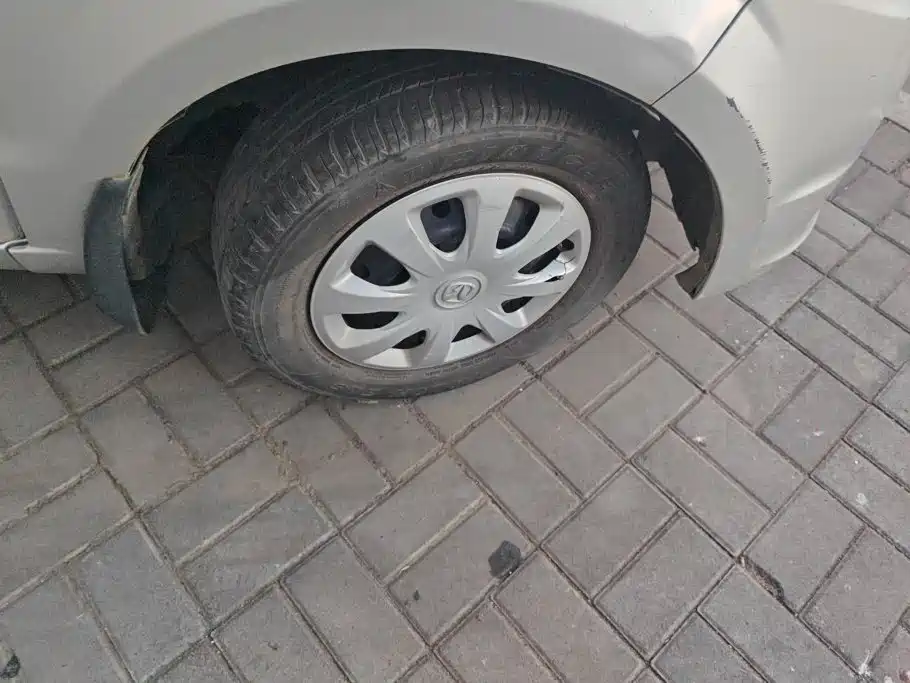 BAW Weiwang M20 — миниатюра 6