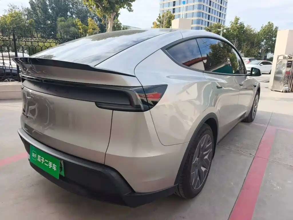 Tesla Model Y L — миниатюра 7
