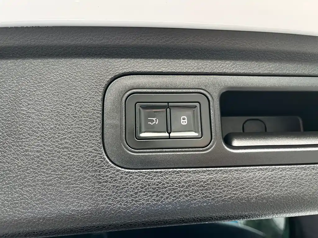 BYD Tang New Energy — миниатюра 12
