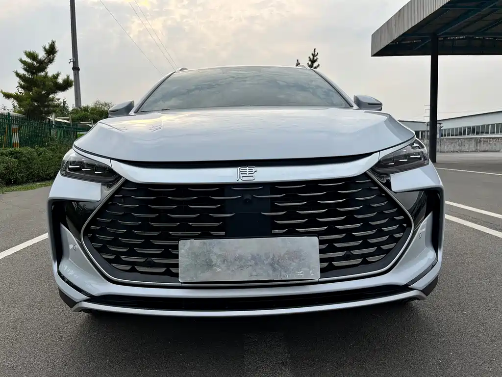 BYD Tang New Energy — миниатюра 2