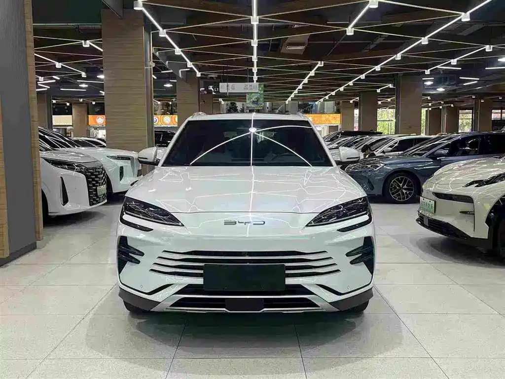 BYD PLUS New Energy — миниатюра 10