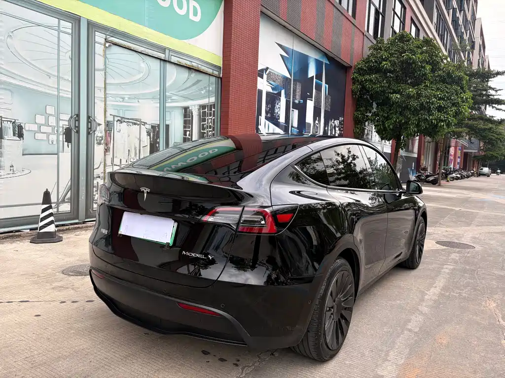 Tesla Model Y — миниатюра 4