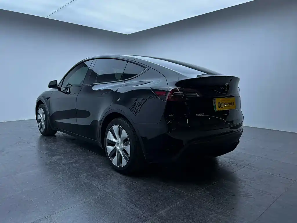 Tesla Model Y — миниатюра 9