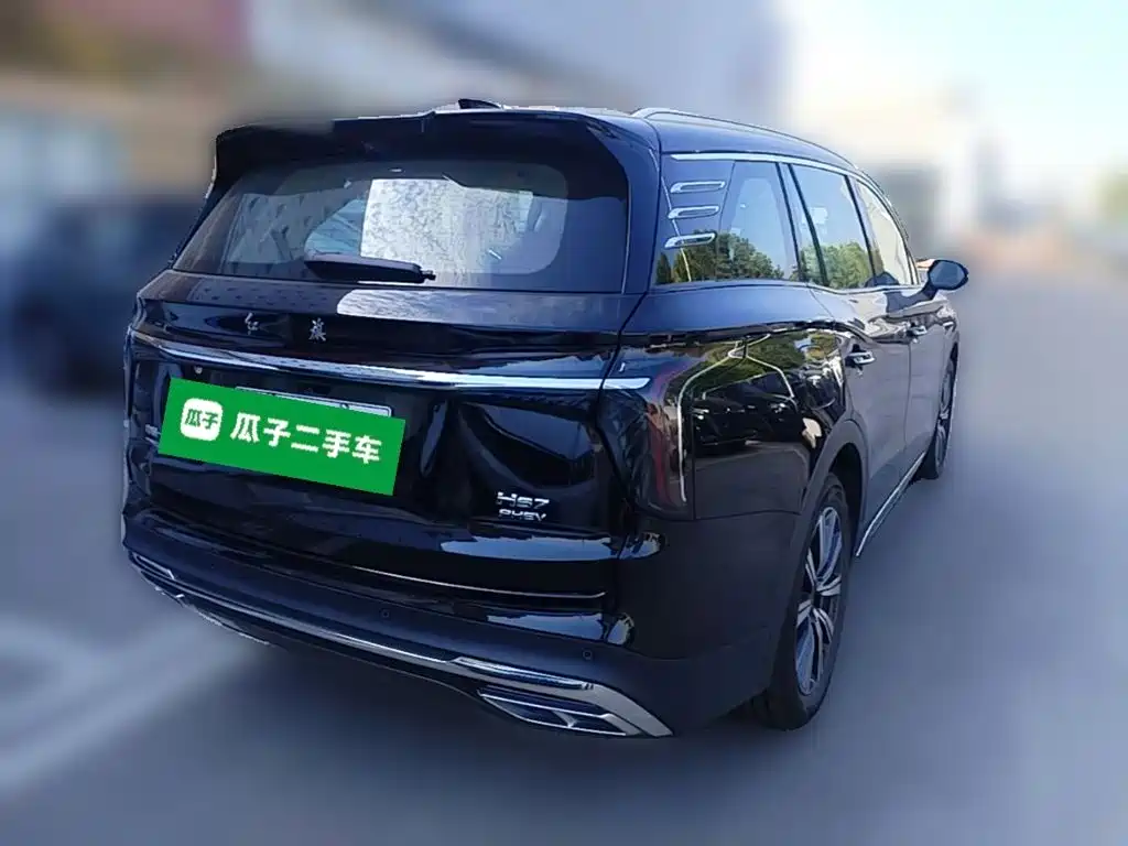 Hongqi Hongqi HS7 PHEV — миниатюра 10