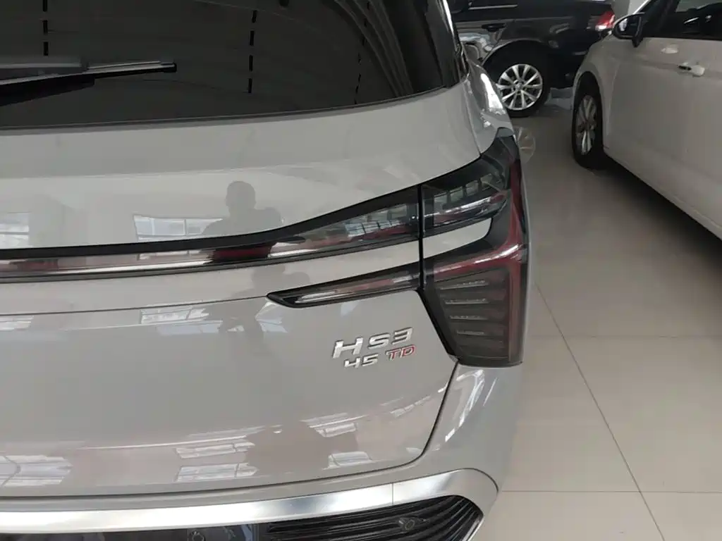 Hongqi Hongqi HS3 — миниатюра 8