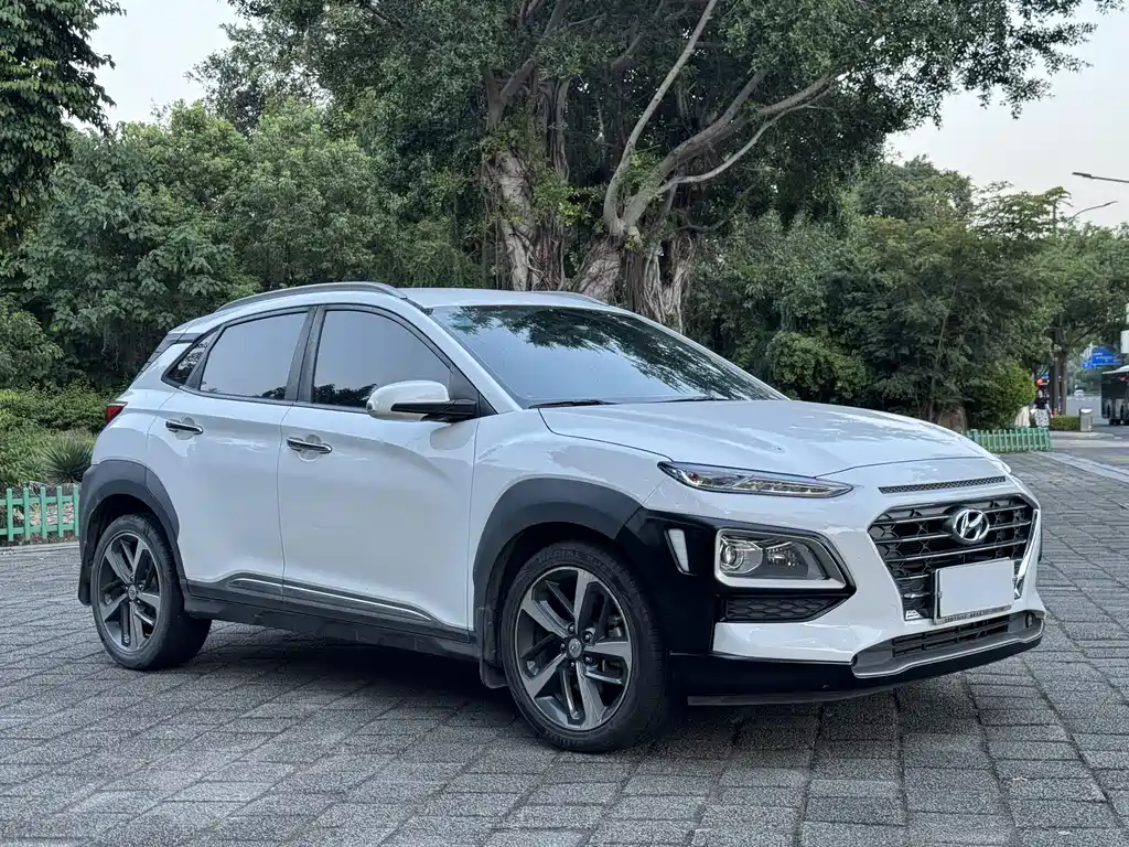 Hyundai Encino — миниатюра 3