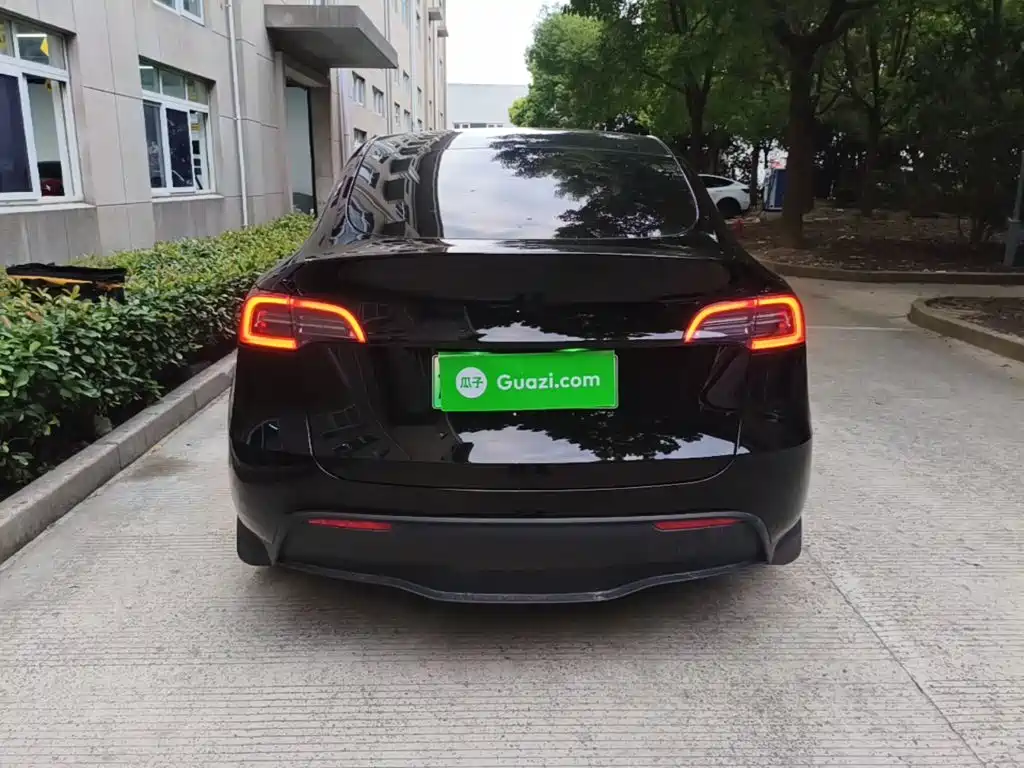 Tesla Model Y — миниатюра 6