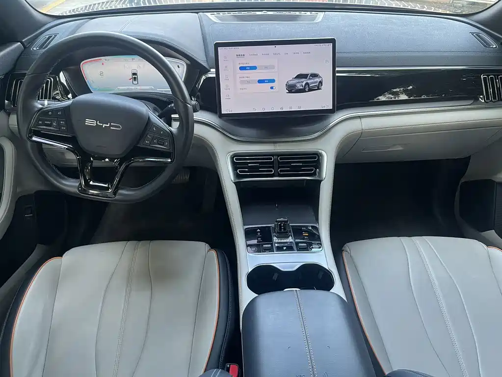 BYD PLUS New Energy — миниатюра 8