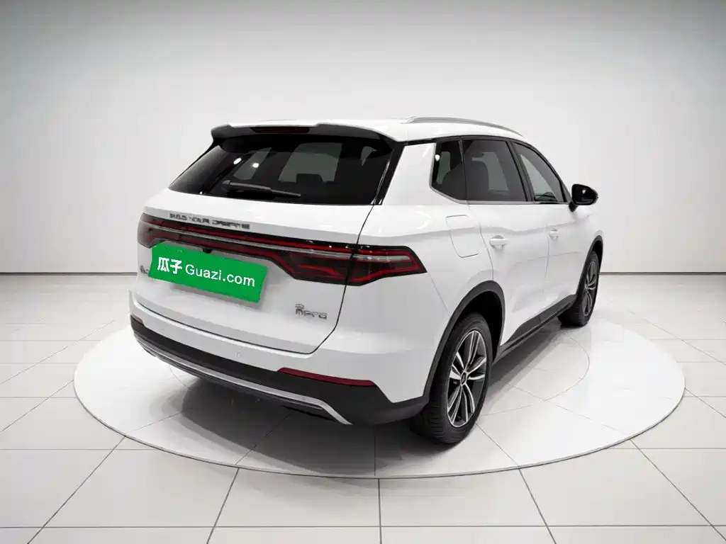 BYD Pro — миниатюра 4