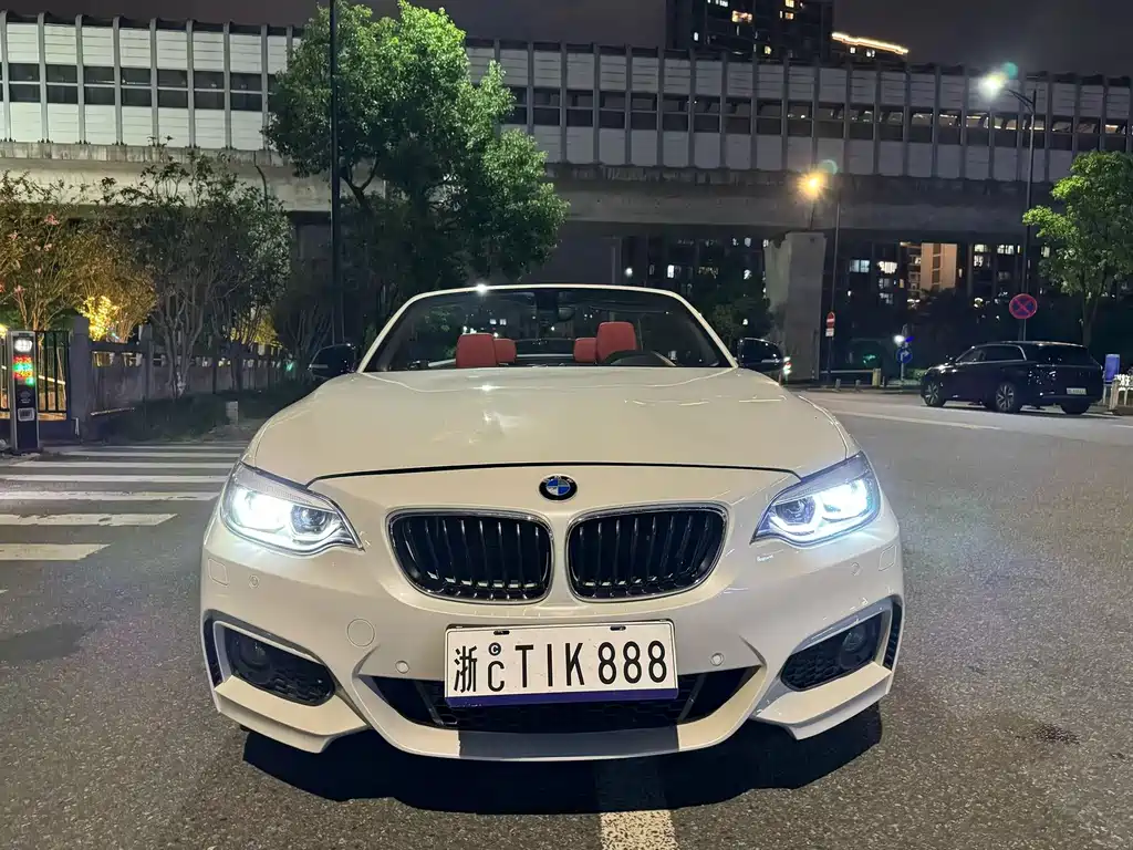 BMW 2 Series (Import)