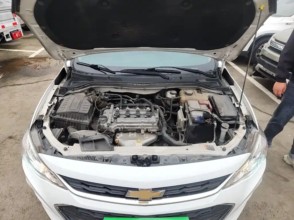 Chevrolet Cavalier — миниатюра 20