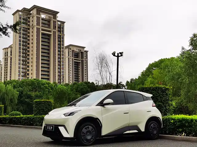 2023 BYD Seagull