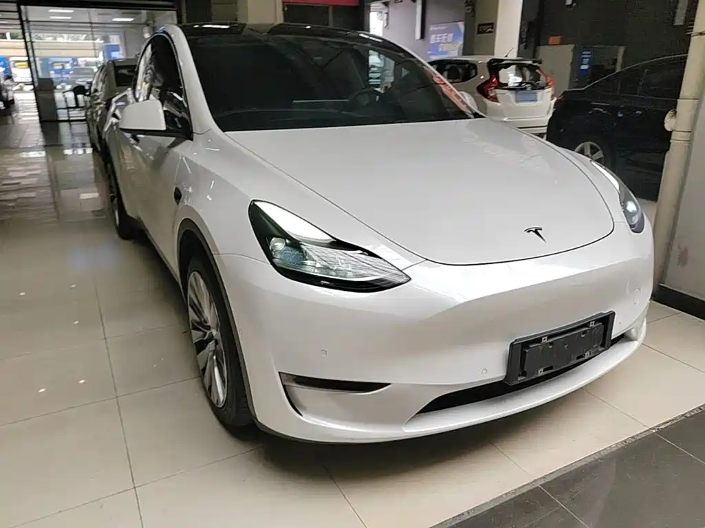 Tesla Model Y — миниатюра 4