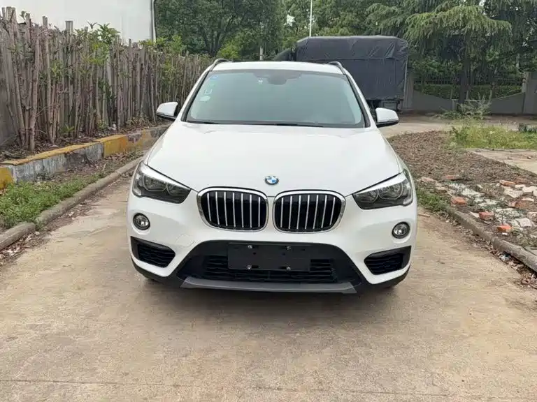BMW X1 — миниатюра 2