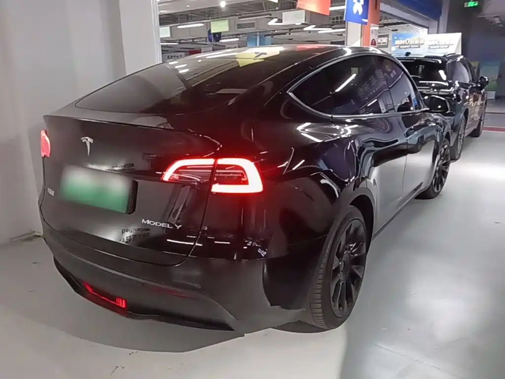 Tesla Model Y — миниатюра 7