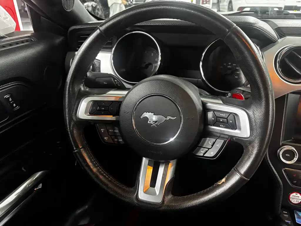 Ford Mustang — миниатюра 8