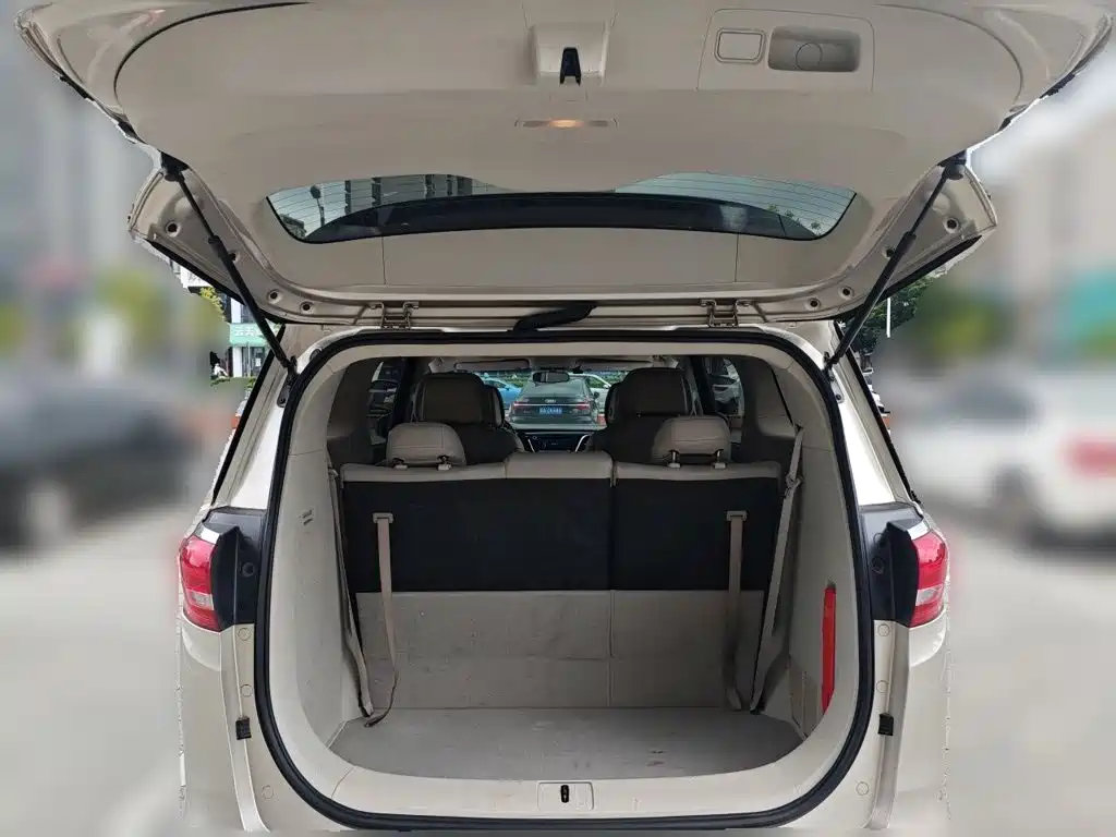 Buick GL8 — миниатюра 10