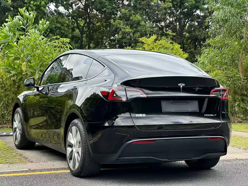 Tesla Model Y — миниатюра 4