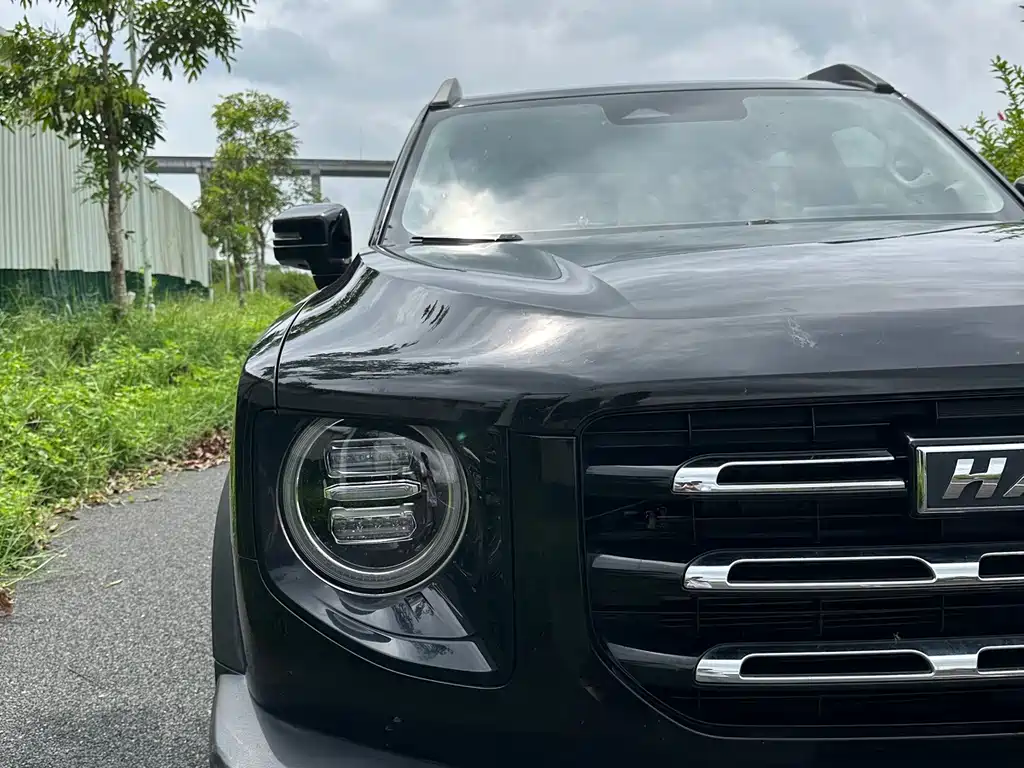 Haval Big Dog — миниатюра 5