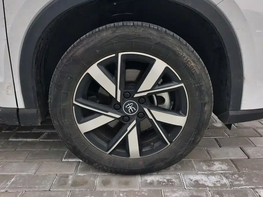 BYD Pro New Energy — миниатюра 6