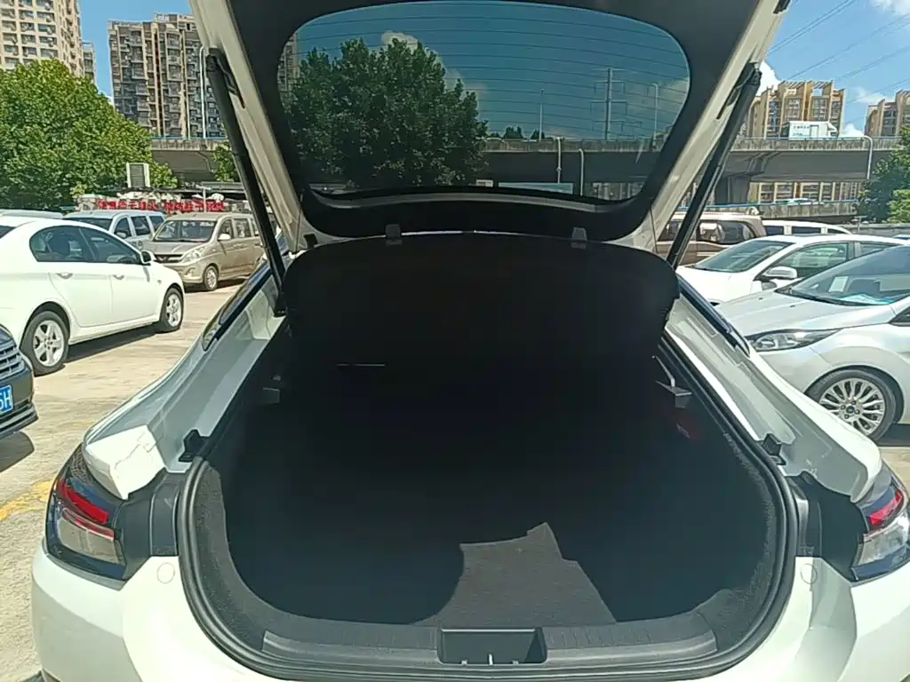 JAC A5 — миниатюра 19