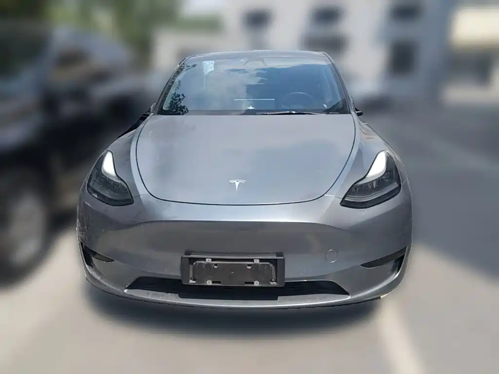 Tesla Model Y — миниатюра 5
