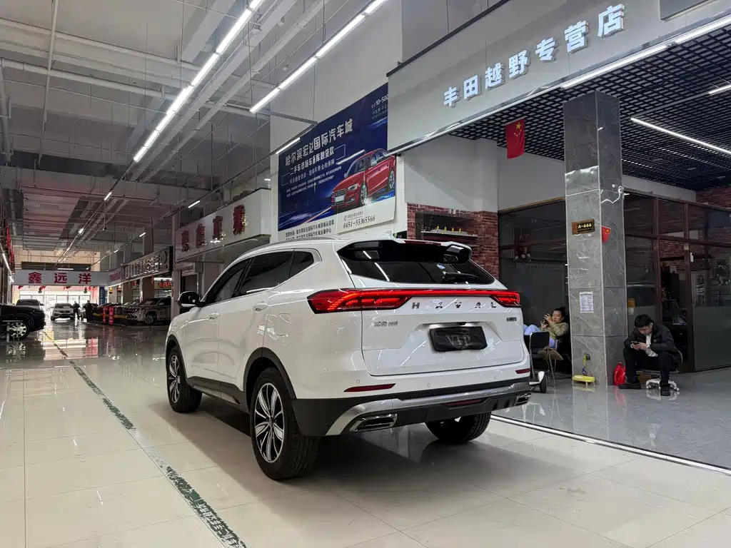Haval H6 — миниатюра 8