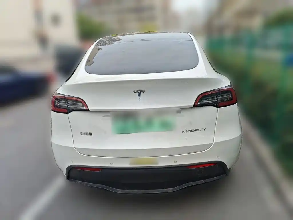 Tesla Model Y — миниатюра 4