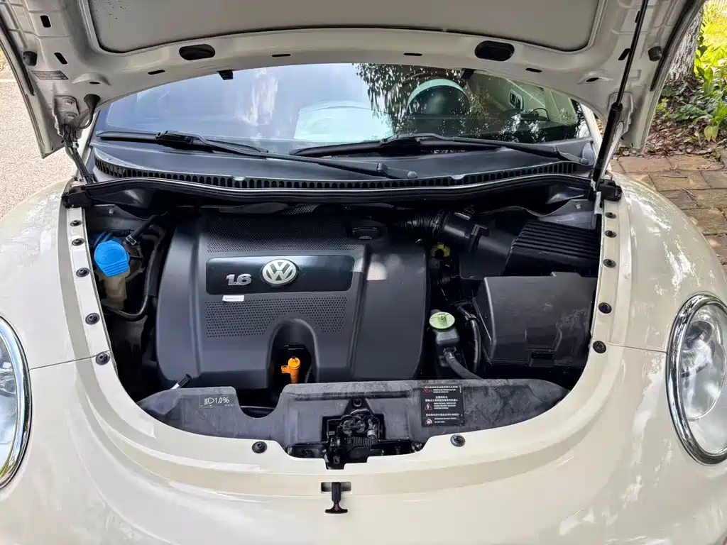 Volkswagen Beetle — миниатюра 31
