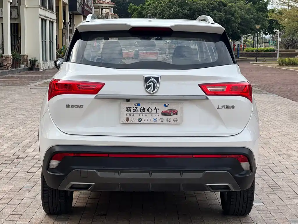 BAOJUN 530