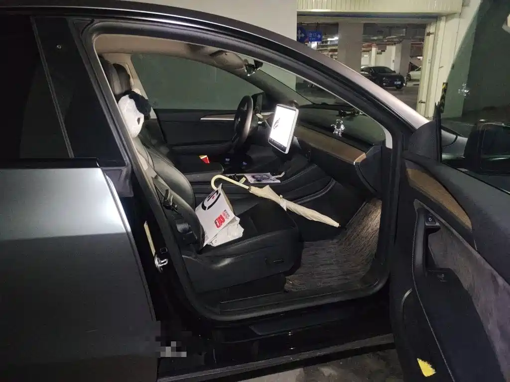 Tesla Model Y — миниатюра 18