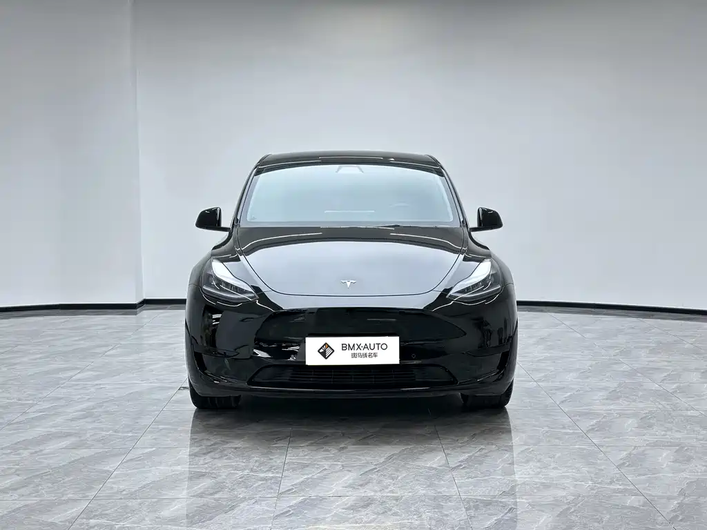 Tesla Model Y — миниатюра 5