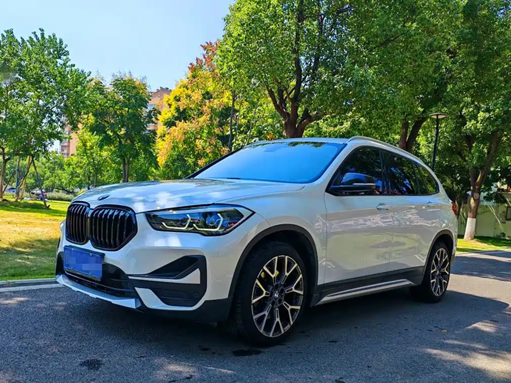BMW X1 — миниатюра 2