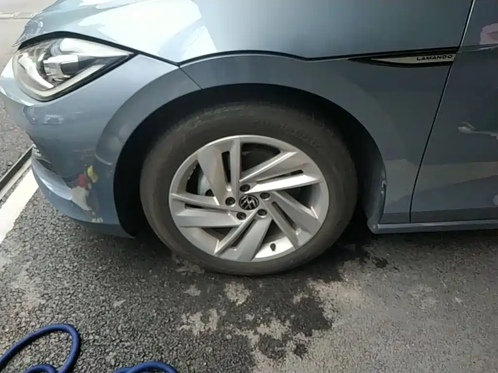 Volkswagen Lamando — миниатюра 23