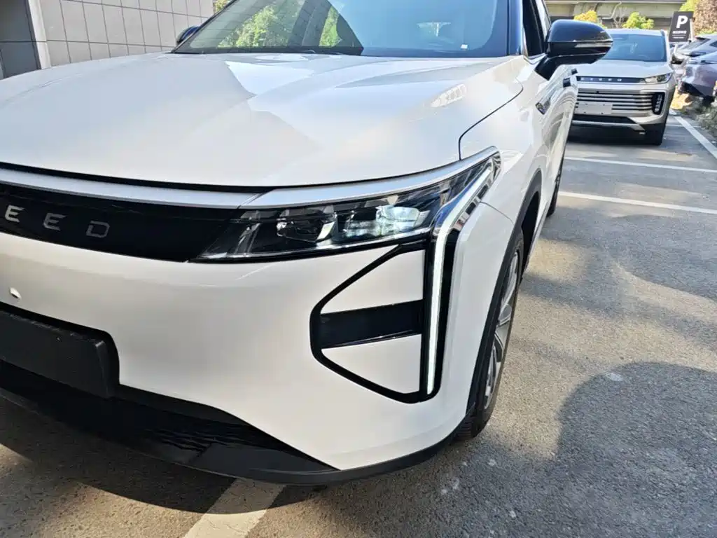 Exeed Yaoguang C-DM — миниатюра 24