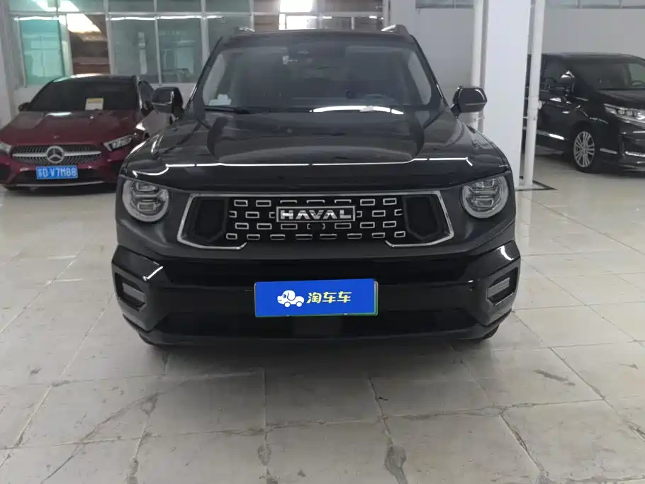 Haval Big Dog PLUS New Energy — миниатюра 2