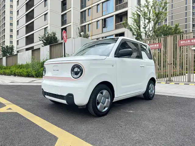 2024 Geely LC (Panda)