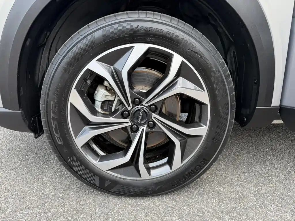 Haval Shenshou — миниатюра 28