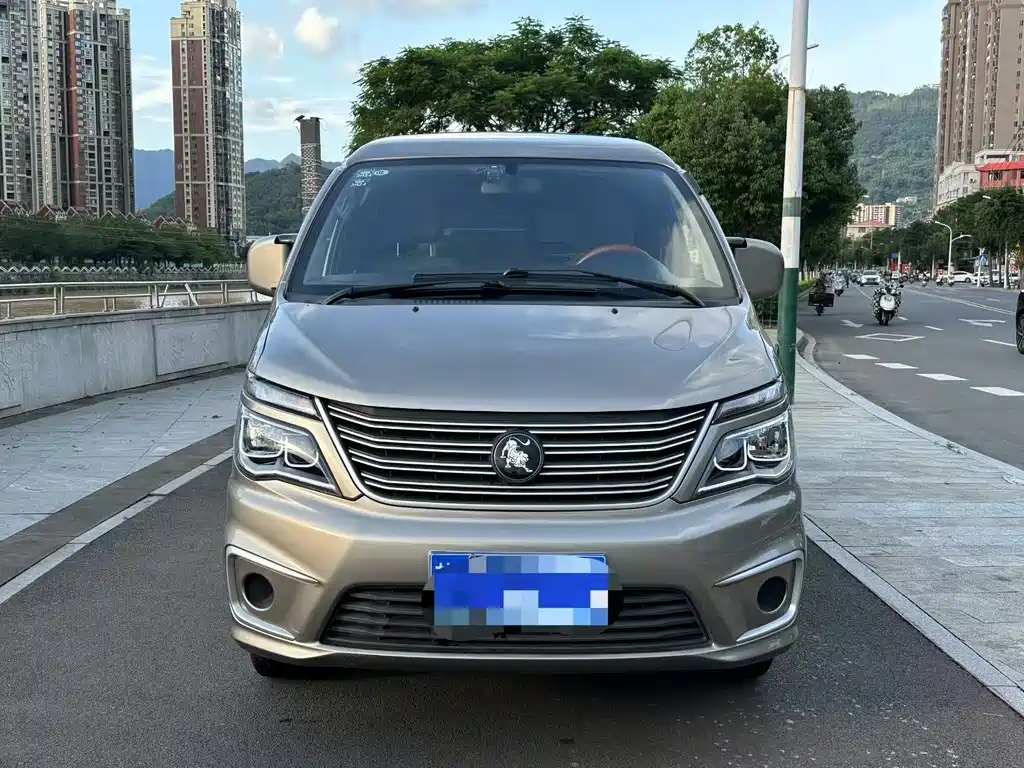DONGFENG LINGZHI
