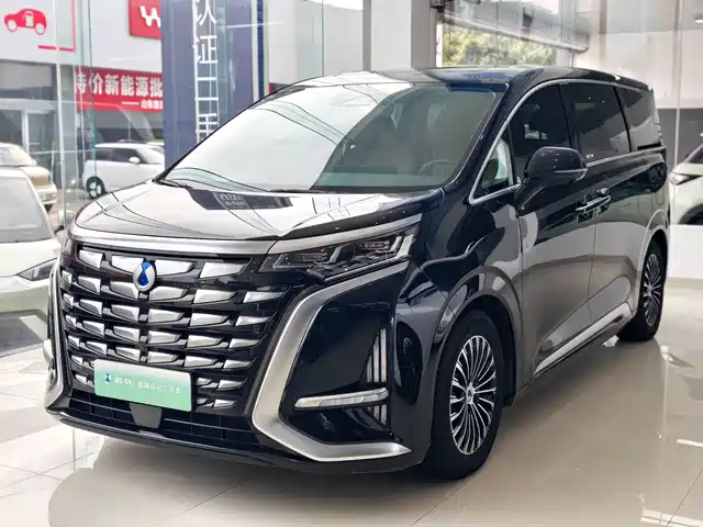 Denza D9