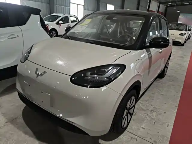 2026 Wuling Motors Binguo