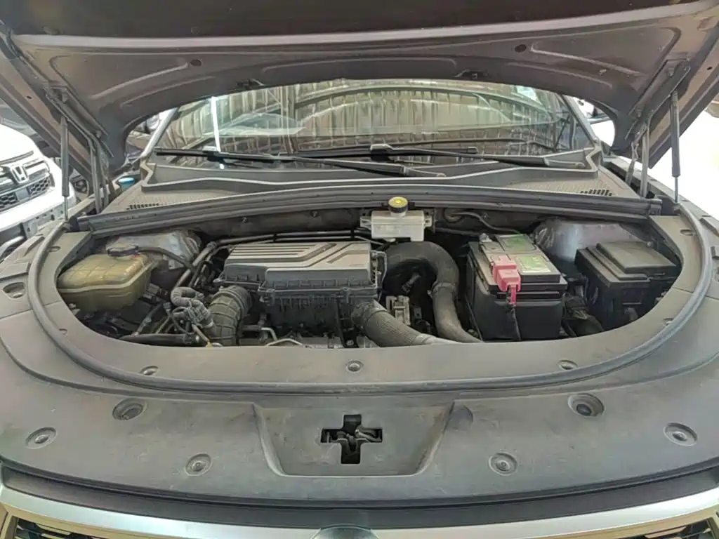 BYD PLUS — миниатюра 20
