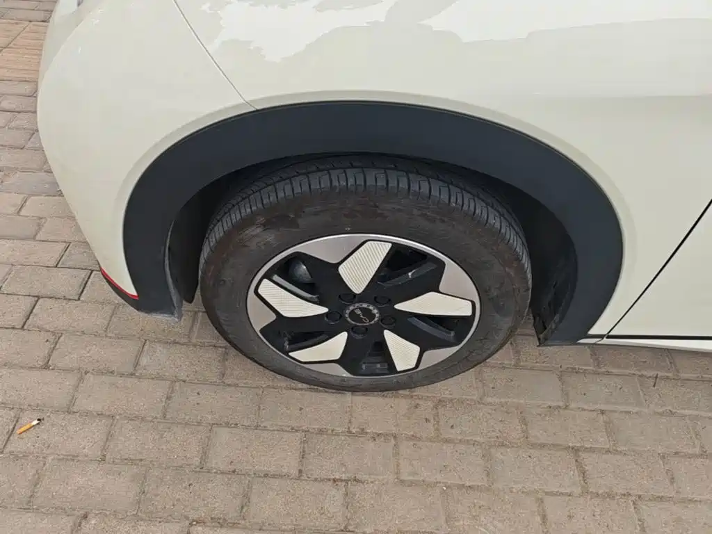 BYD Dolphin — миниатюра 23