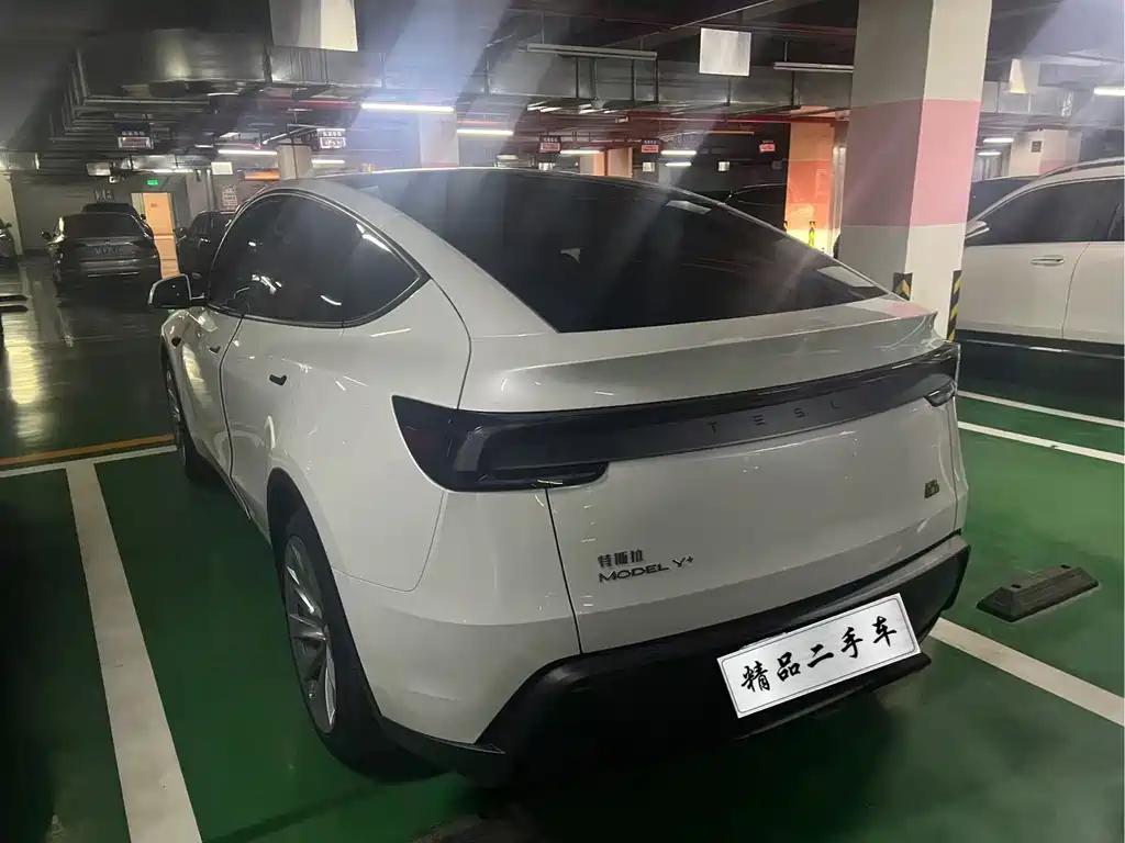Tesla Model Y — миниатюра 4