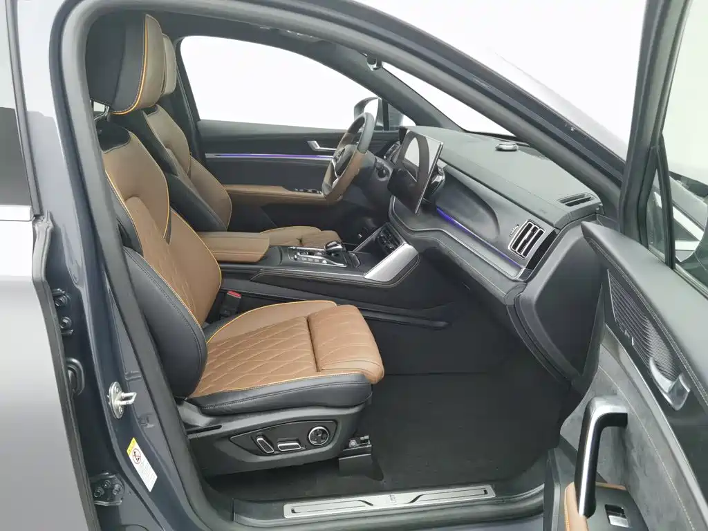 BYD Tang New Energy — миниатюра 23