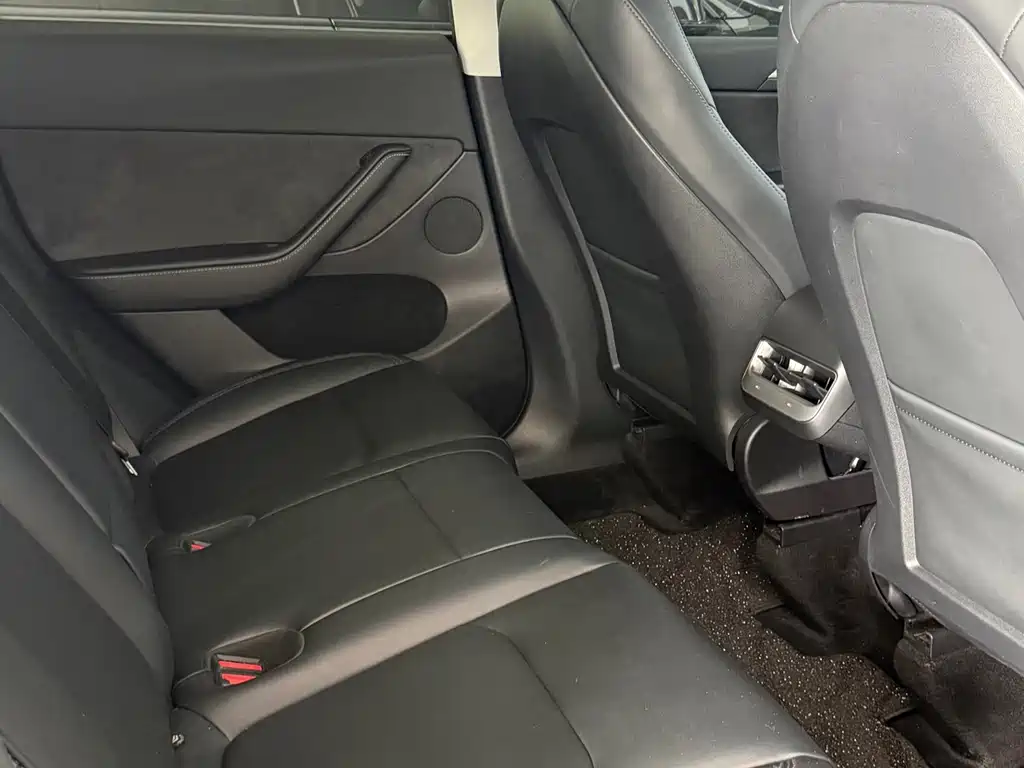 Tesla Model Y — миниатюра 7
