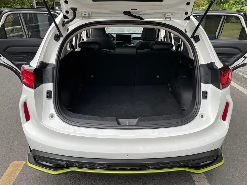 Haval Chitu — миниатюра 21